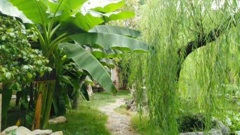 Suzhou Taoyuan International Holiday Hotel מראה חיצוני תמונה